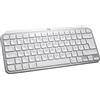 Logitech MXKEYS MINI F. MAC WRLS ILLUM. GRIGIO PALE - DEU - CENTRALE