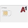 TKMARS Scheda SIM per Localizzatore GPS per Auto Compatibile con TK905, TK905B, TK915, TK918, Funziona Negli Stati Uniti e in 91 Paesi Italia