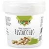 LUSCIOUX Crema spalmabile al Pistacchio con il 45% di Pistacchi (1000)