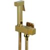 SPORTARC Rubinetti per bidet in ottone Rubinetto per bidet WC portatile in oro Spruzzatore per bidet doccia igienica - Oro