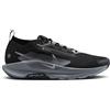 Nike Pegasus Trail 5 GORE-TEX - scarpe trail running - uomo