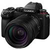 Panasonic Lumix S5D Body + 28-200mm f/4-7.1 MACRO O.I.S.