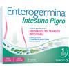 SANOFI SpA ENTEROGERMINA INTESTINO PIGRO 10 BUSTINE scad. 09/2025