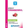 LABORATOIRE NUTERGIA ERGYCRANBERRYL 250 ML