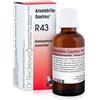 I.M.O.IST.MED.OMEOPATICA SpA RECKEWEG R43 GOCCE 22 ML