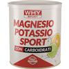 BIOVITA Srl WHYSPORT MAGNESIO POTASSIO SPORT 300 G