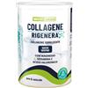 BIOVITA Srl WHYNATURE COLLAGENE RIGENERA NEUTRO 330 G