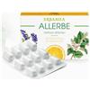 ERBAMEA Srl ALLERBE 24 CAPSULE VEGETALI BLISTER
