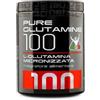 Net Integratori - Pure Glutammine 100 - 400 g