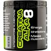 Net Integratori - Creatina Alka 8 in Polvere - 180 g