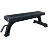 Toorx Panca Piana Semi-Professionale Toorx WBX 100