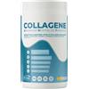 EthicSport Collagene Con Zinco Vitamina B6 C Magnesio e Acido Ialuronico 400 g