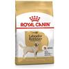 *Royal Canin Rc Lr 30 3Kg Labrador Minsan 910511815