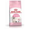 *Royal Canin Rc Kitten 36 10Kg Gatto Minsan 900187624
