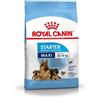 *Royal Canin Rc Maxi Starter M&B 4Kg Minsan 921504534