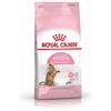 *Royal Canin Rc Kitten Sterilised 400Gr Gatto Minsan 977962772