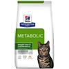 *Hill's Feline Metabolic 250Gr Minsan 924843182
