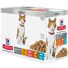 *Hill's Feline St Young Bs 10+2 85Gr (3Pollo 3Salmone 3Trota 3Tacchino) Minsan 979236953