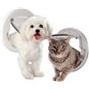 *Camon Cam Porta In Plastica Gatti E Cani 18,5X20,5Cm Ax005/B Bianco Per Vetro