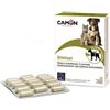*Camon Immun 60Cpr G884 Sostegno Del Sistema Immunitario Per Cani E Gatti Minsan 925464101