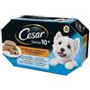 *Cesar Cesar Delizie Del Giorno Senior 10+ Selezione In Gelatina Multipack Bs 306102