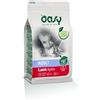 *Oasy Oasy Cat Ad Agnello 300Gr New