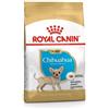 *Royal Canin Rc Mini Chihuahua Junior 1,5Kg 8 Months Minsan 977962529