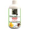 *Union B.I.O. Trauma Plus Gel 500Ml Minsan 975993027