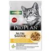 *Purina Pro Plan Sterilised NutriSavour Teneri Pezzetti con Pollo in Salsa