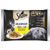 *Sheba Delicatezze in Gelatina con Pollo