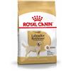 Royal Canin Veterinary Diet Royal Cane Labrador Adult al Pollo per Cani - 12 Kg
