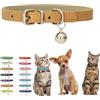 HimyBB Collare HimyBB per cuccioli con campanellino, in morbido pelle PU, collari per gatti e cani regolabili con fibbia, per XXS XS extra piccolo medio minuscolo, femmina maschio ragazzi ragazze, per