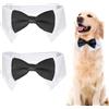 RELKLYU 2 pezzi di abiti per cani, accessori per animali domestici, mosca creativa e divertente, papillon regolabile, forniture di abbigliamento per animali domestici