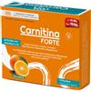 SANAVITA CARNITINA FORTE 14 BUSTINE