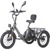FAFREES F20 Mate Triciclo elettrico da carico versione aggiornata, motore da 500 W, batteria da 48 V 23,45 Ah - Nero