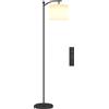 HOMCOM Lampada da Terra LED Dimmerabile con Telecomando, 11 Temperature e 11 Luminosità, Timer 60 Minuti, Nero | Aosom Italy