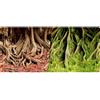 Reptiles-Planet Reptiles Planet Poster Amazonian Tree Roots 2 Facce, 15 m, arrotolare, 50 cm, Altezza