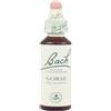 SCHWABE Bach Gorse 20 ml