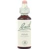 SCHWABE Bach Pine 20 ml