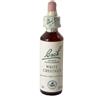 SCHWABE Bach White Chestnut 20 ml