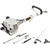 Alpina Decespugliatore rasaerba tagliaerba Alpina multifunzioni MT26 5 in 1