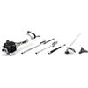 Alpina Decespugliatore 5 in 1 'AMT26' kw 0,7