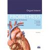 EDISES Prometheus. Testo atlante di anatomia. Organi interni
