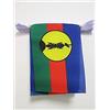AZ FLAG Ghirlanda 6 Metri 20 Bandiere Nuova Caledonia 21x15cm, Bandiera Francese - Francia 15 x 21 cm - Festone Bandierine