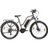 Touroll MA2 Bicicletta elettrica con motore centrale da 250 W, 36 V 13 Ah, 70Nm, autonomia di 100 km - Marrone