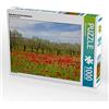 CALVENDO Puzzle papavero con alberi di olivo 1000 pezzi Lege dimensioni 64 x 48 cm foto puzzle immagine di fumenwald Martin