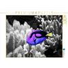 CALVENDO Witkowski Bernd - Puzzle a forma di pesce dottore, Paracanthurus hepatus, 1000 pezzi, dimensioni: 64 x 48 cm