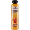 San Benedetto Succoso Zero Senza Zucchero Frutta Mix PET Bottiglia 400ml Lt Succo Di Frutta Senza Zucchero