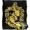 LOGOVISION Harry Potter, coperta setosa al tatto, super morbida, 152 x 127 cm