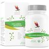 Carnium Botanicals Vegan Collagen Booster, 60 Capsule